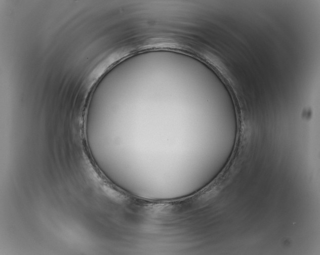 X0000113341282200909291021