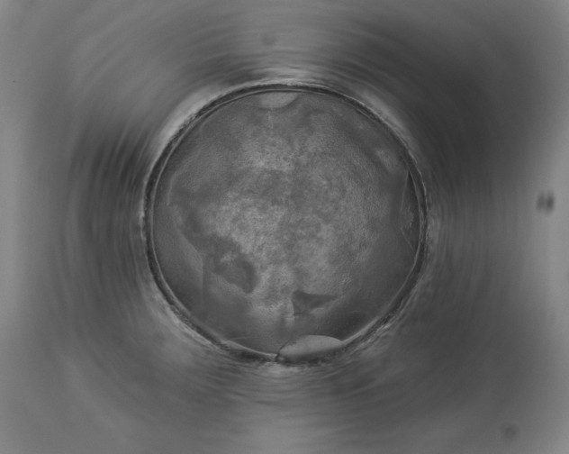 X0000113341283200909291021