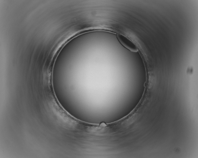 X0000113341284200909291021