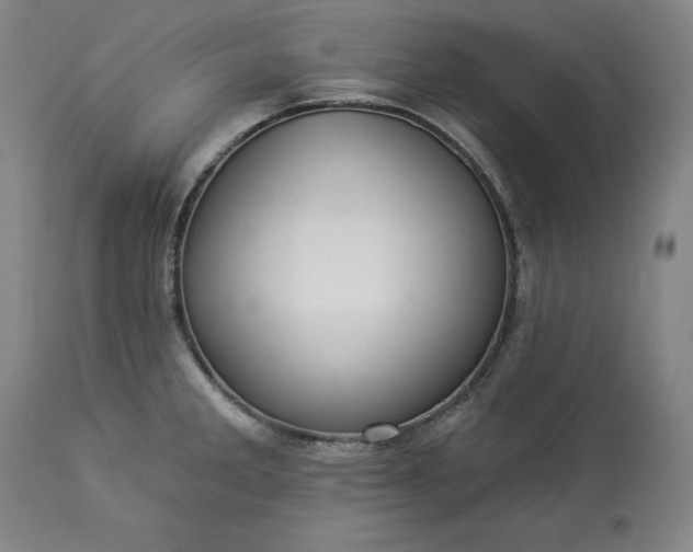 X0000113341285200909291021