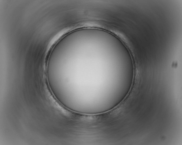 X0000113341286200909291021