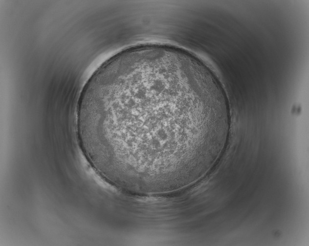 X0000113341287200909291021