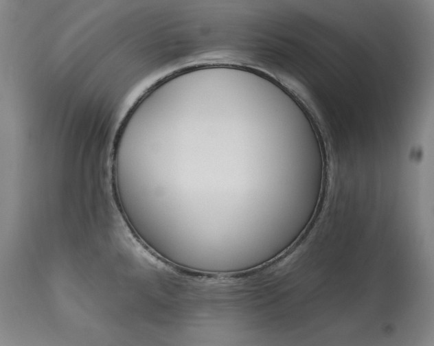 X0000113341288200909291021