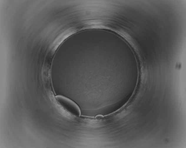 X0000113341289200909291021