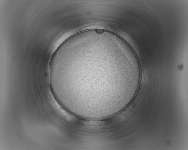 X0000113341290200909291021