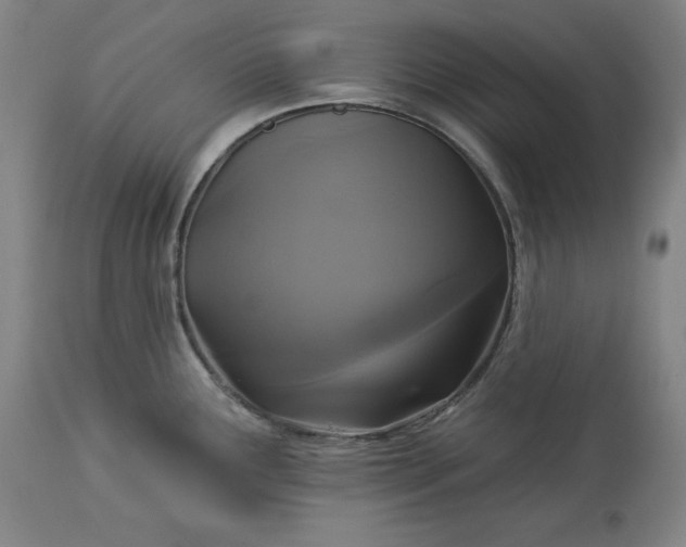 X0000113341291200909291021