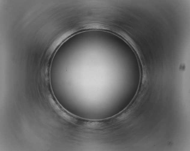 X0000113341293200909291021