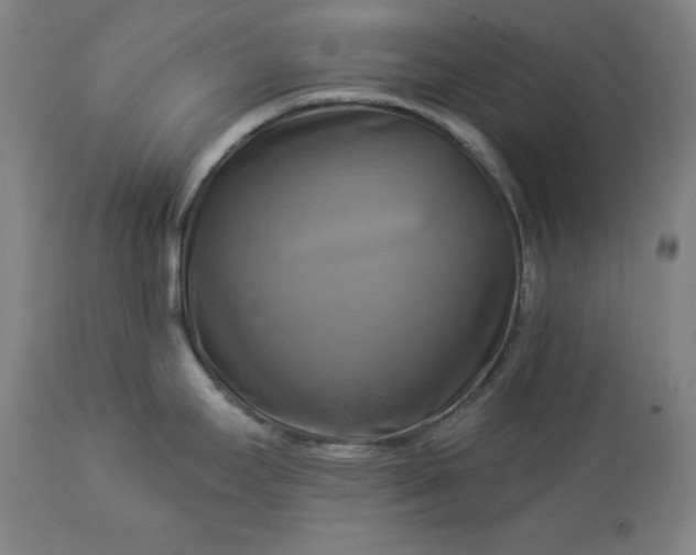 X0000113341295200909291021