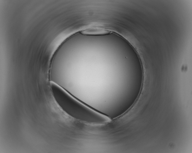 X0000113341296200909291021