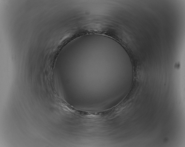 X0000113341297200909291020