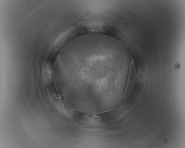 X0000113341298200909291020