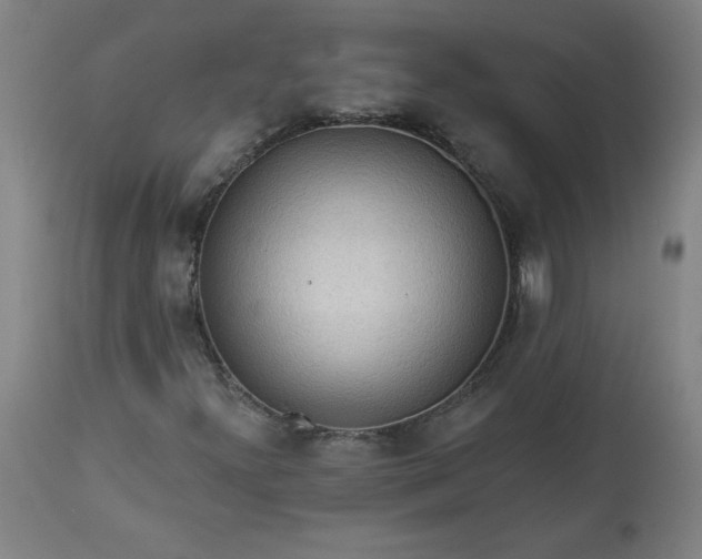 X0000113341300200909291020