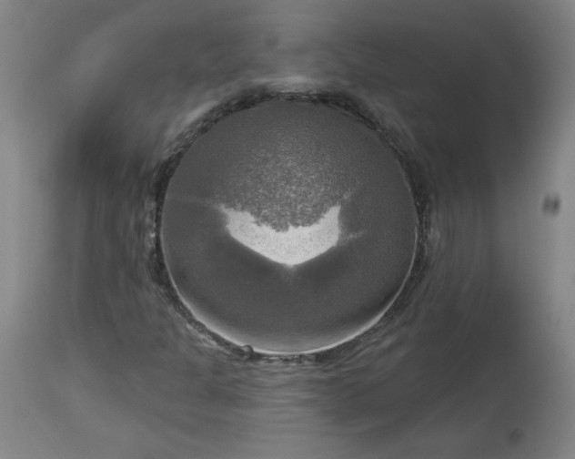 X0000113341301200909291020