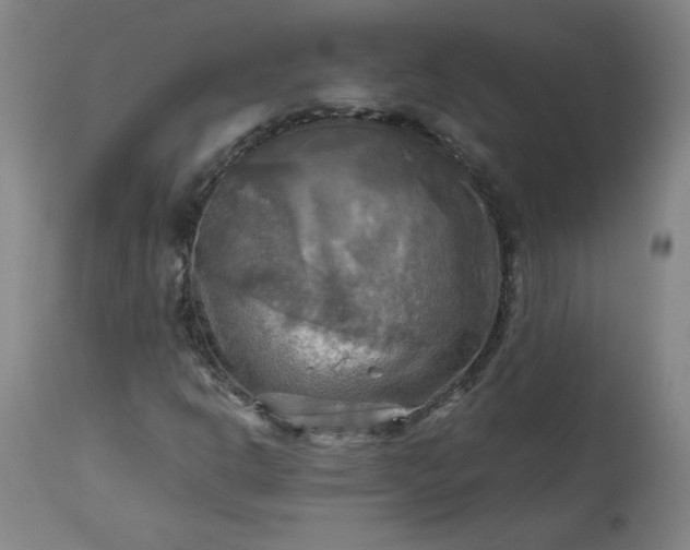 X0000113341302200909291020