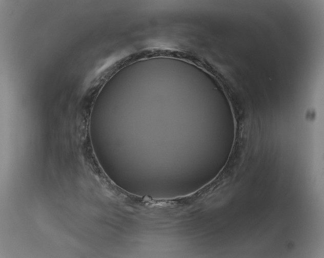 X0000113341303200909291020