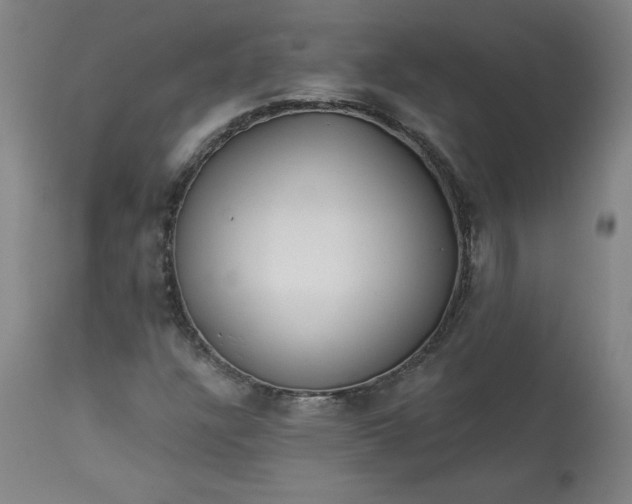 X0000113341304200909291020