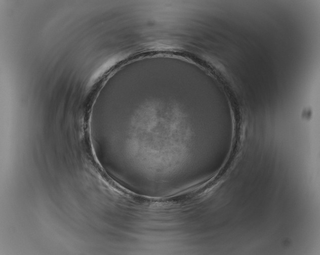 X0000113341306200909291020