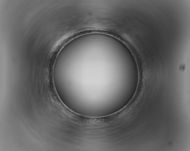 X0000113341307200909291020