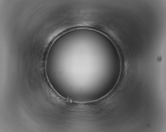 X0000113341308200909291020