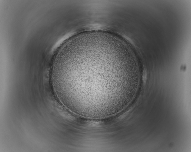 X0000113341309200909291020