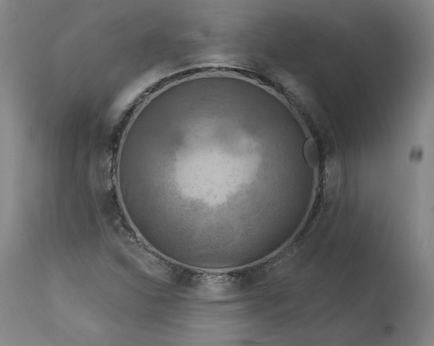 X0000113341310200909291020