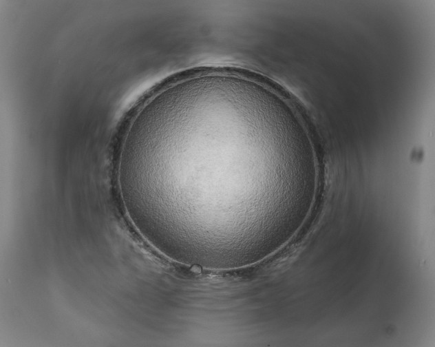 X0000113341311200909291020