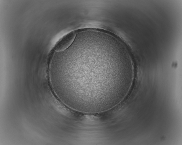 X0000113341312200909291020