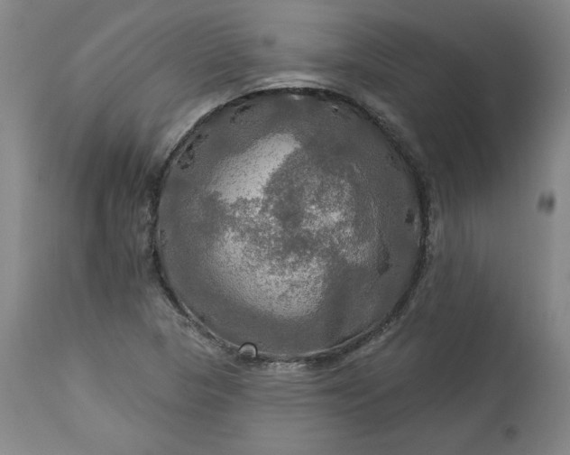 X0000113341313200909291020