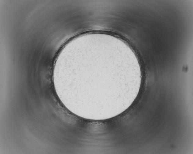 X0000113341314200909291021