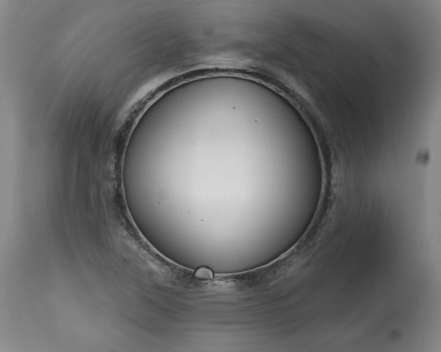 X0000113341315200909291021