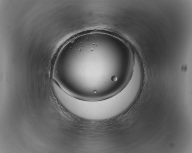 X0000113341316200909291021