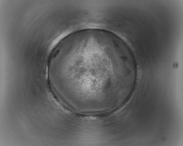 X0000113341317200909291021