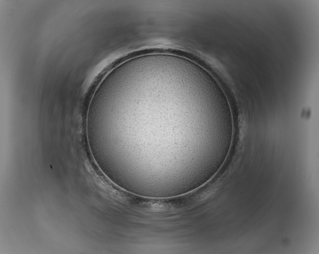 X0000113341318200909291021