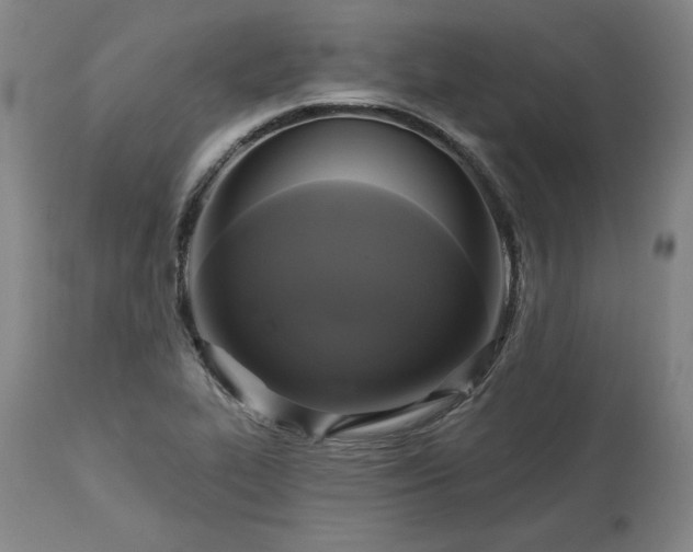 X0000113341319200909291021