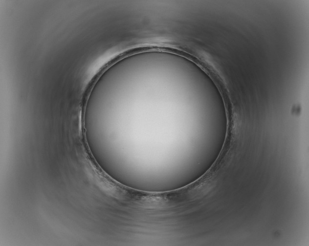 X0000113341320200909291021