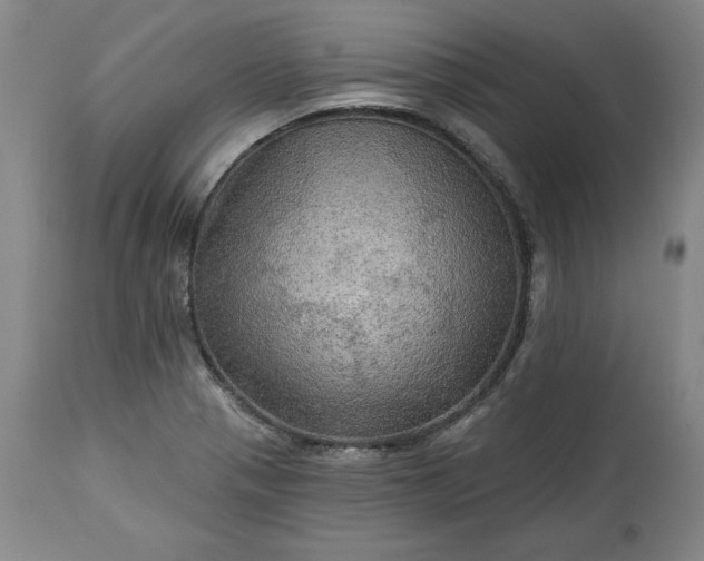 X0000113341321200909291021