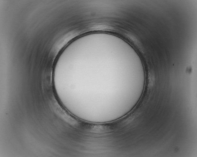 X0000113341322200909291021