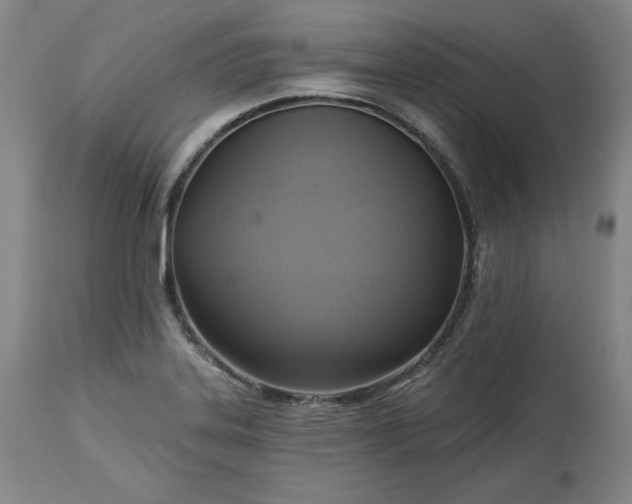 X0000113341323200909291021