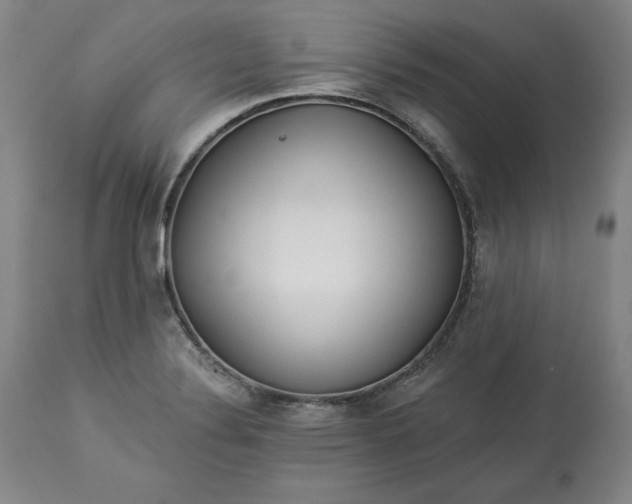 X0000113341324200909291021