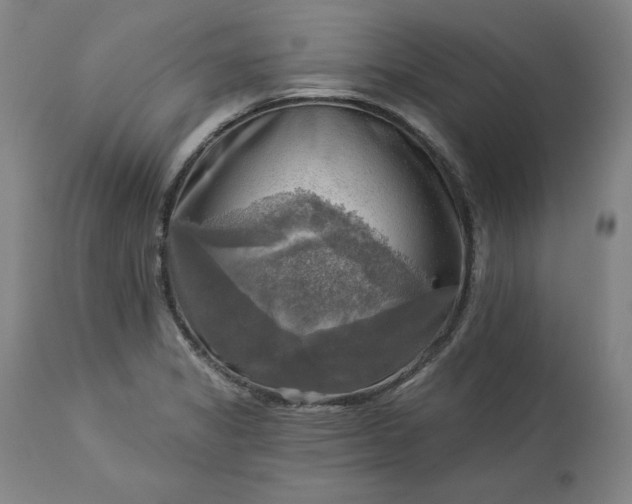 X0000113341325200909291021