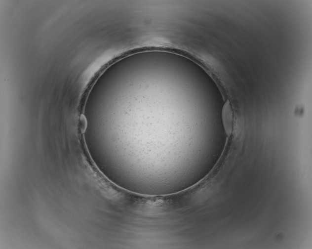 X0000113341326200909291021