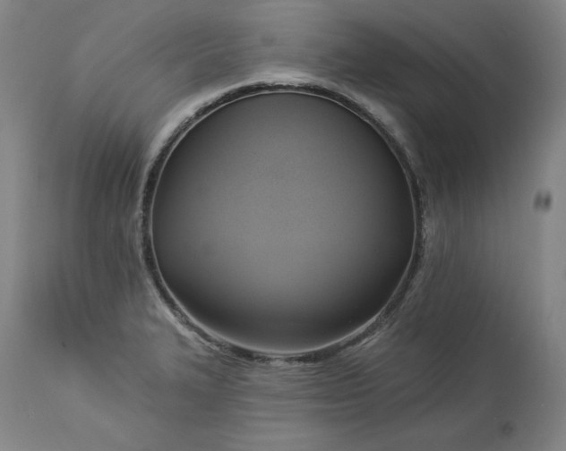 X0000113341327200909291021