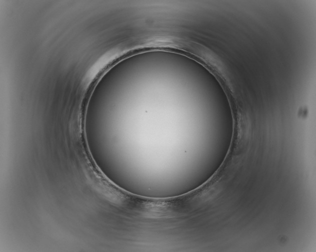 X0000113341328200909291021