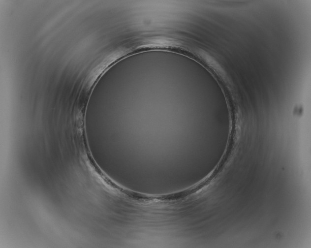 X0000113341329200909291021