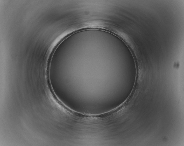 X0000113341331200909291021