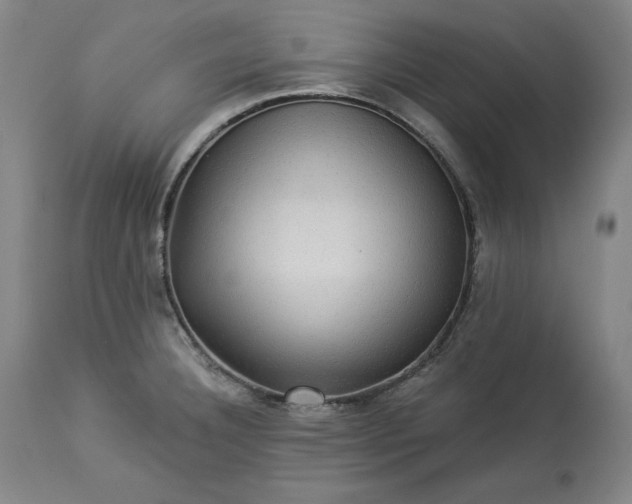 X0000113341332200909291021