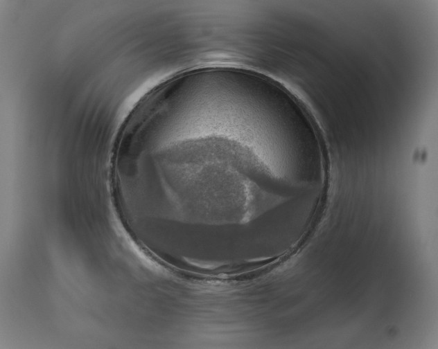 X0000113341333200909291021