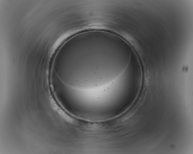 X0000113341334200909291021