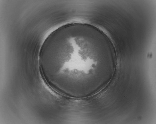 X0000113341335200909291021