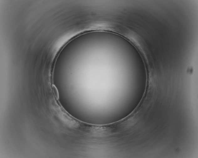 X0000113341336200909291021